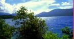Rara lake Tour  &raquo; Click to zoom ->