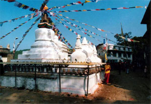 Buddhist Shrines of Nepal